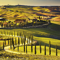Buy canvas prints of Golden Sunset over Tuscany's Rolling Hills by Stefano Orazzini