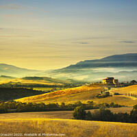 Buy canvas prints of Tuscany spring, rolling hills at sunset. Italy by Stefano Orazzini