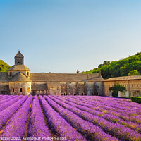 Buy canvas prints of Abbey of Senanque and lavender flowers. Gordes, France by Stefano Orazzini