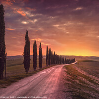 Buy canvas prints of Cypress tree lined road in the countryside of Tuscany, Italy by Stefano Orazzini