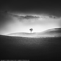 Buy canvas prints of Alone in the Fog II by Stefano Orazzini