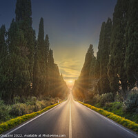 Buy canvas prints of Bolgheri famous cypresses tree straight boulevard. Tuscany by Stefano Orazzini