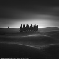 Buy canvas prints of Majestic Cypresses of Val dOrcia by Stefano Orazzini