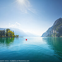 Buy canvas prints of Riva del Garda gardens and trees on the Lake Garda. Italy by Stefano Orazzini