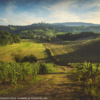 Buy canvas prints of Panoramic view of chianti and vernaccia vineyards. San Gimignano by Stefano Orazzini
