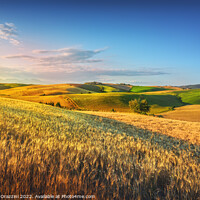 Buy canvas prints of Tuscany countryside panorama, rolling hills and wheat fields by Stefano Orazzini