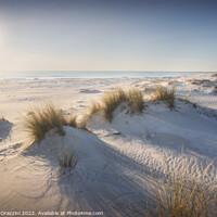 Buy canvas prints of White sand beach and dunes. Rosignano, Tuscany, Italy by Stefano Orazzini