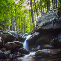 Buy canvas prints of Abetone, stream waterfall inside a forest. Apennines, Tuscany by Stefano Orazzini