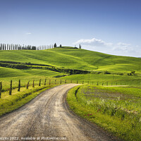 Buy canvas prints of Monteroni d'Arbia, route of the via francigena. Curved road. by Stefano Orazzini