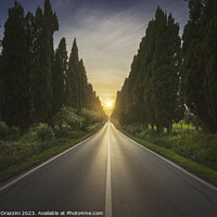 Buy canvas prints of The cypress tree-lined avenue of Bolgheri by Stefano Orazzini
