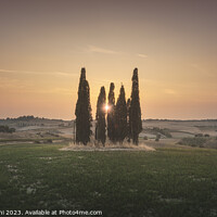 Buy canvas prints of Sunset landscape in Alta Maremma. Rolling hills and cypress trees by Stefano Orazzini