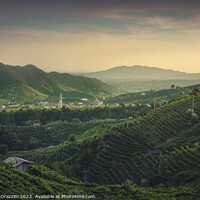 Buy canvas prints of Prosecco Hills, vineyards and Guia village at sunset. by Stefano Orazzini