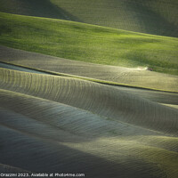 Buy canvas prints of Tractor plowing the fields in Tuscany sunset. Vescona, Siena. by Stefano Orazzini