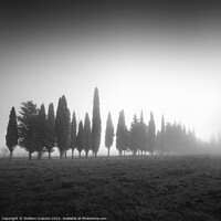 Buy canvas prints of We are not all the same. Tuscany by Stefano Orazzini