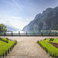 Buy canvas prints of Gardens on the lake Garda. Riva del Garda, Italy by Stefano Orazzini