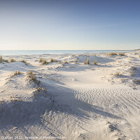 Buy canvas prints of White sand beach and dunes. Vada, Tuscany by Stefano Orazzini