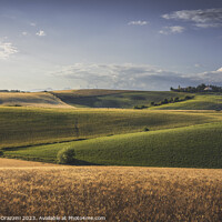 Buy canvas prints of Rolling hills and wheat fields. Santa Luce, Tuscany by Stefano Orazzini