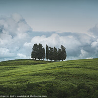 Buy canvas prints of Group of trees and storm clouds in the background. by Stefano Orazzini