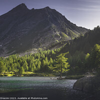 Buy canvas prints of A fir tree along the shores of Lake Arpy at sunset. Aosta Valley by Stefano Orazzini
