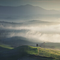 Buy canvas prints of Foggy landscape in Volterra and a lonely tree. Tuscany, Italy by Stefano Orazzini
