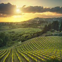 Buy canvas prints of Vineyards at sunset and Casale Marittimo village. Tuscany by Stefano Orazzini
