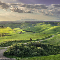 Buy canvas prints of Countryside landscape in Volterra. Tuscany, Italy by Stefano Orazzini
