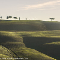 Buy canvas prints of Rolling hills, cypress and pine trees. Tuscany, Italy by Stefano Orazzini
