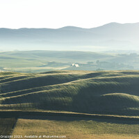 Buy canvas prints of Foggy morning in Tuscany. Rolling hills at sunrise. Val d'Orcia by Stefano Orazzini