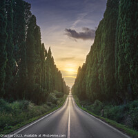 Buy canvas prints of The cypress avenue of Bolgheri and the sun in the middle by Stefano Orazzini