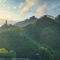 Buy canvas prints of Prosecco Hills, vineyards and San Lorenzo church. Italy by Stefano Orazzini