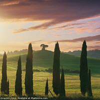 Buy canvas prints of Landscape in Maremma. Cypresses and Rolling hills. Tuscany by Stefano Orazzini