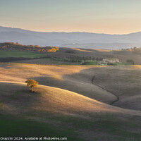 Buy canvas prints of Lonely tree on the hills of Val d'Orcia. Tuscany by Stefano Orazzini