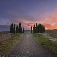 Buy canvas prints of The circle of cypresses of Val d'Orcia, Tuscany by Stefano Orazzini