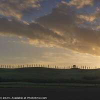 Buy canvas prints of Cypress trees on the edge of the hill. Tuscany, Italy by Stefano Orazzini