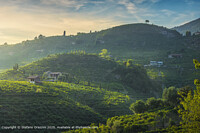 Click to show how this picture will look as a piece of wall art