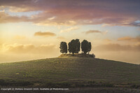 Click to show how this picture will look as a piece of wall art