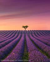 Click to show how this picture will look as a piece of wall art