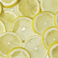 Buy canvas prints of Slices of lemon in a random pattern  by Keith Bowser