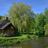 Buy canvas prints of Summer Cottage on the River Varenne Domfront Orne  by Malcolm White