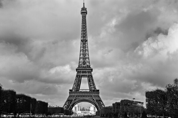 The Eiffel Tower, La Tour Eiffel, Paris, Picture Board by Malcolm White