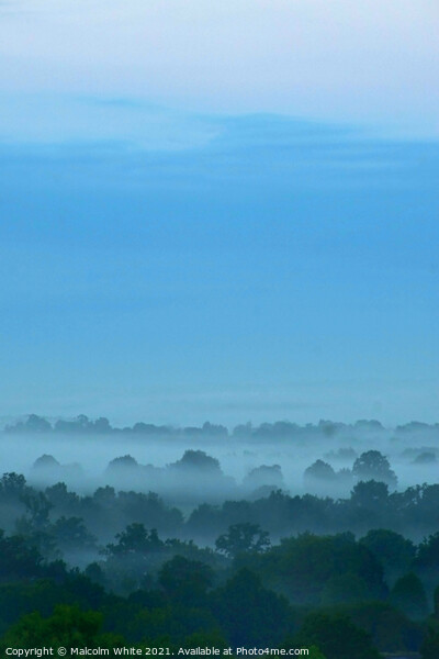 Misty  Fogy Trees Sky Morning Domfront 61700 Franc Picture Board by Malcolm White
