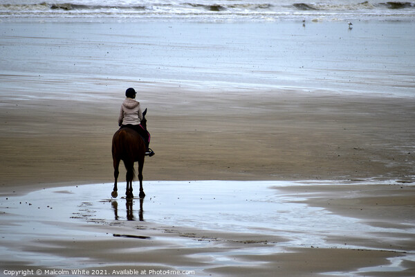 Horse and Rider On Sand Beach France Picture Board by Malcolm White