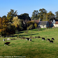 Buy canvas prints of Colors of Autumn Landscape. Normandie Domfront .  by Malcolm White
