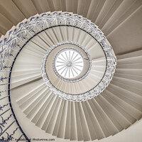 Buy canvas prints of Tulip Spiral Staircase by Neil Hall