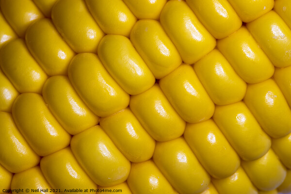 Corn on the Cob Picture Board by Neil Hall