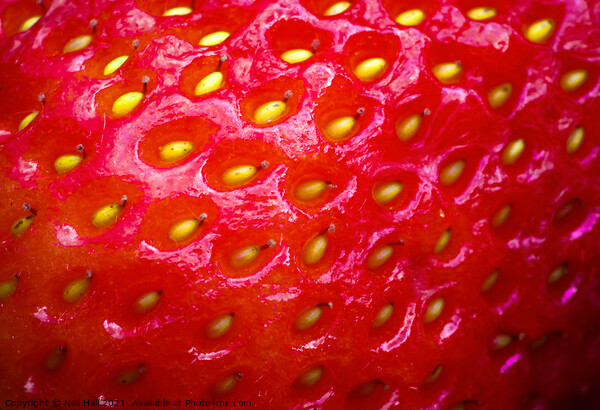 Strawberry Picture Board by Neil Hall