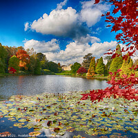 Buy canvas prints of Autumn Colour at Sheffield Park Sussex by John Gilham