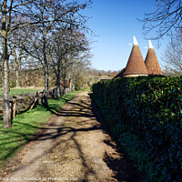 Buy canvas prints of Oast Houses on Hop Farm in The Garden of England Kent UK by John Gilham