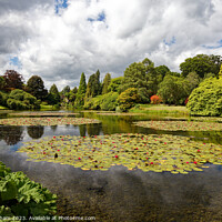 Buy canvas prints of Sheffield Park and gardens, Haywards Heath, East S by John Gilham