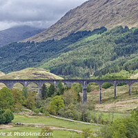 Buy canvas prints of The Glenfinnan Viaduct  by John Gilham